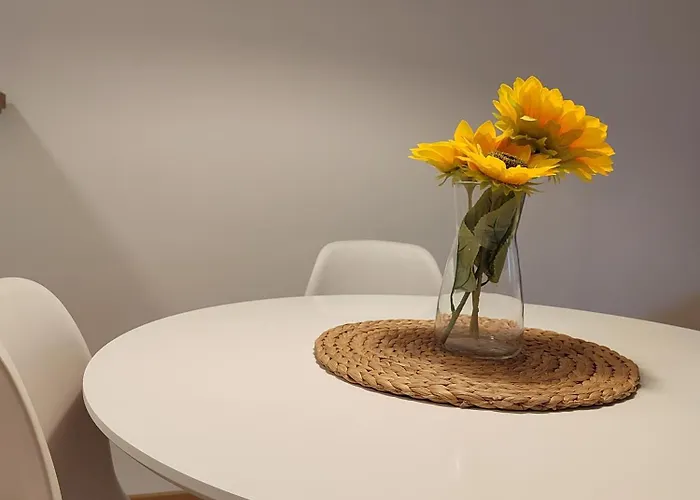 Yellow Gate Apartman Belgrade